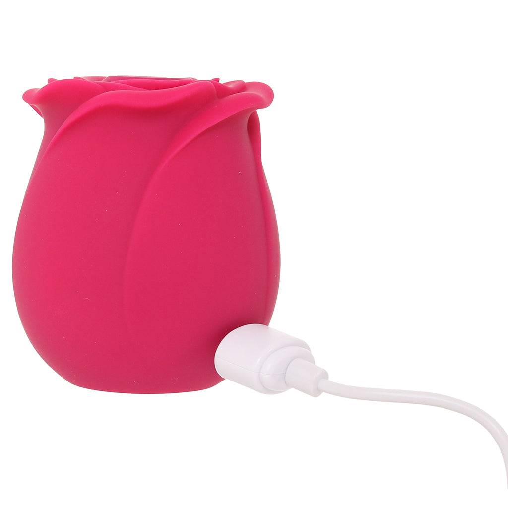 Satisfyer Pro 2 Classic Blossom Rose Vibe Vibrators > Clitoral Stimulators