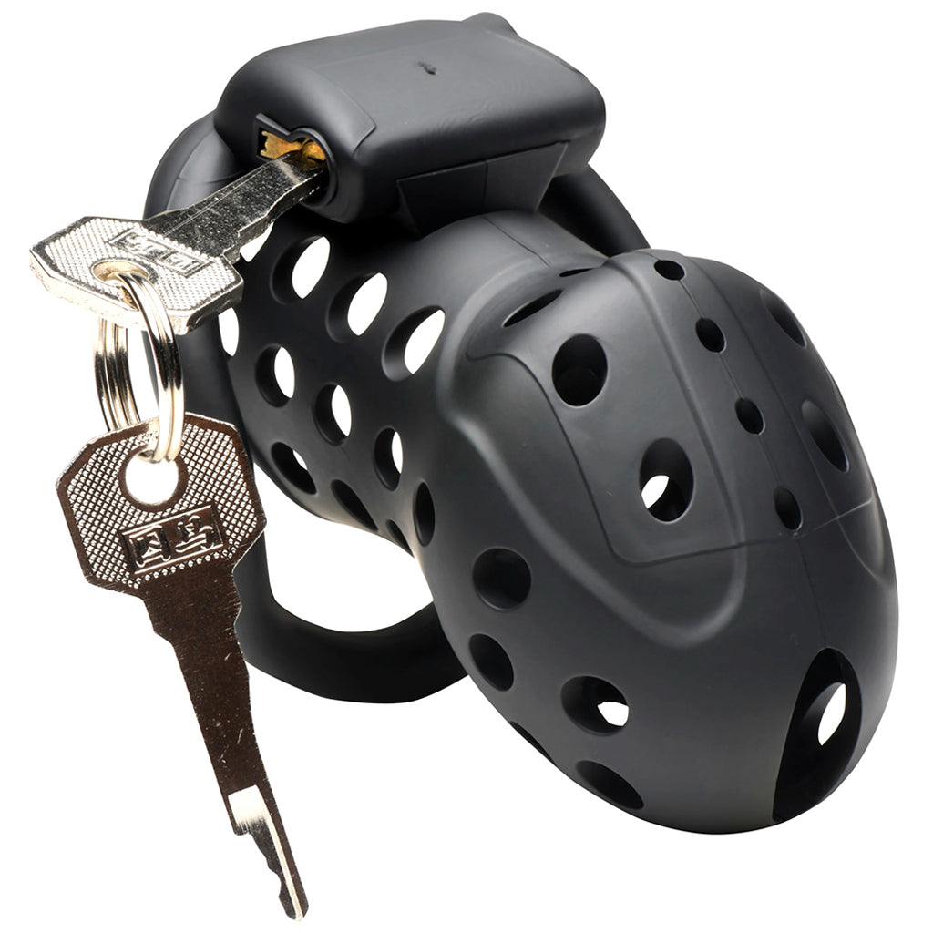 Master Series Lockdown Chastity Cage Bondage and Fetish > Cock and Ball Devices