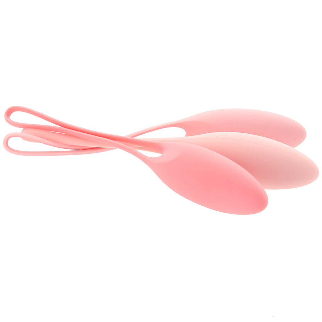 3 Piece Kegel Trainer Set In A Bag Kegel, Ben Wa and Pelvic Health Tools