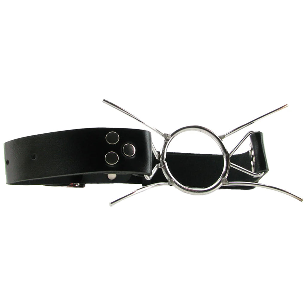 Fetish Fantasy Extreme Spider Gag Bondage and Fetish > Ball Gags & Mouth Restraints