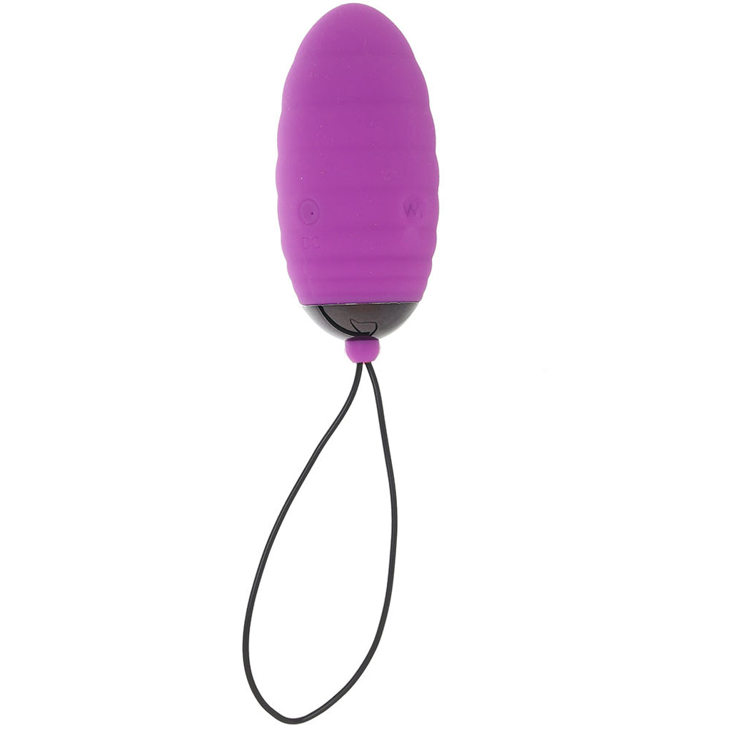 Ocean Breeze 2.0 Remote Egg Vibe in Purple Vibrators > Bullet and Egg Vibrators