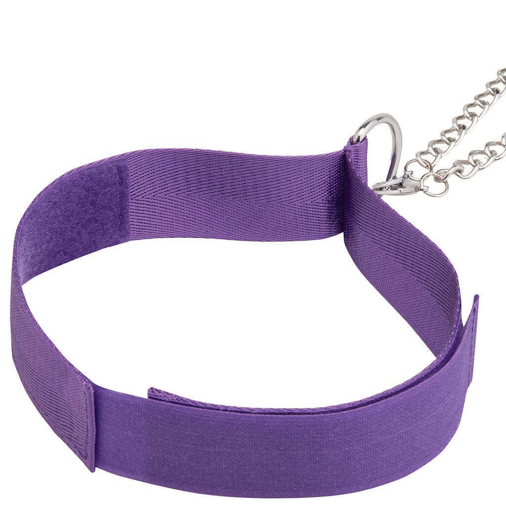 Collar & Nipple Clamp Set in Purple Bondage and Fetish > Nipple Stimulators & Clamps