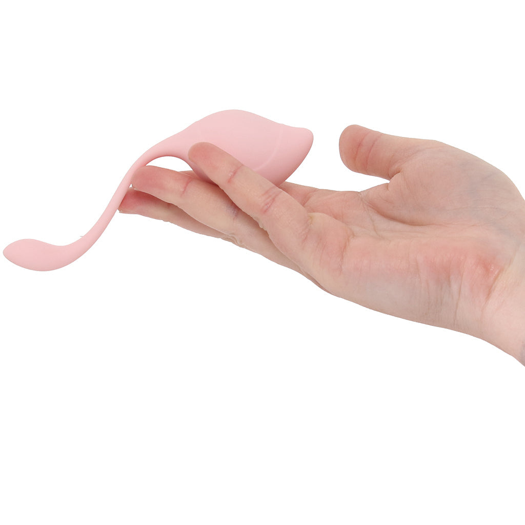 Loveline Pelvifit Stem Kegel Kit Kegel, Ben Wa and Pelvic Health Tools