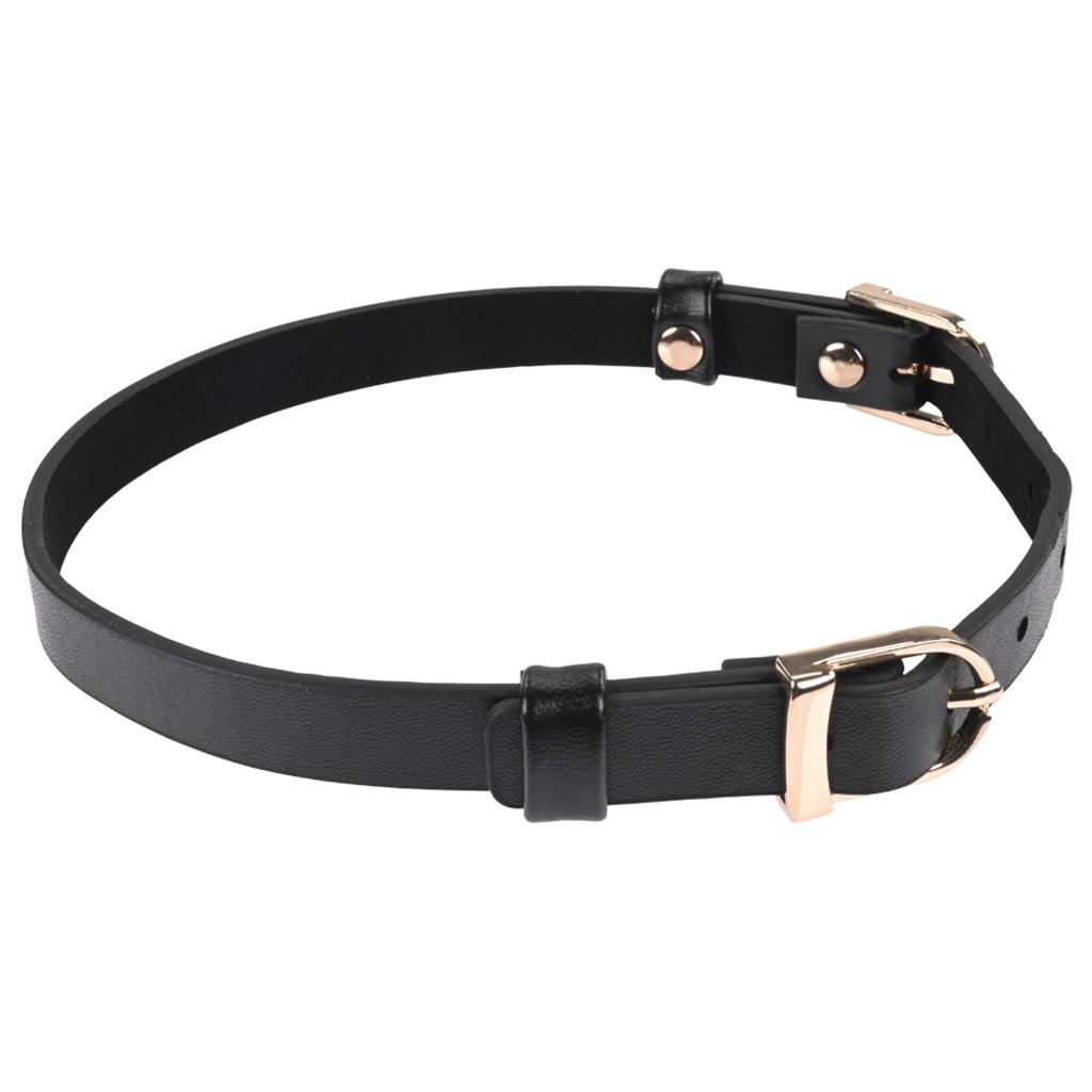 Sex & Mischief Double Buckle Day Collar Bondage and Fetish > Leashes and Collars