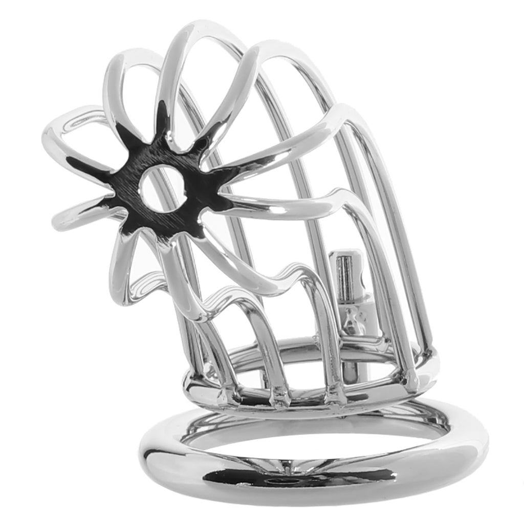 Blue Line Prisoner Cock Cage in Silver Bondage and Fetish > Cock and Ball Devices