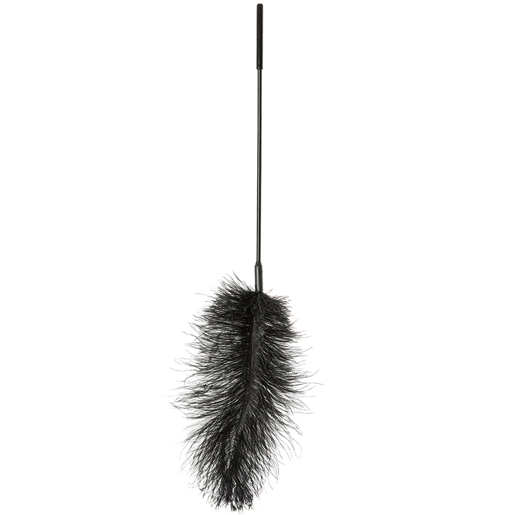 Ostrich Feather Body Tickler in Black Bondage and Fetish > Tools & Accessories