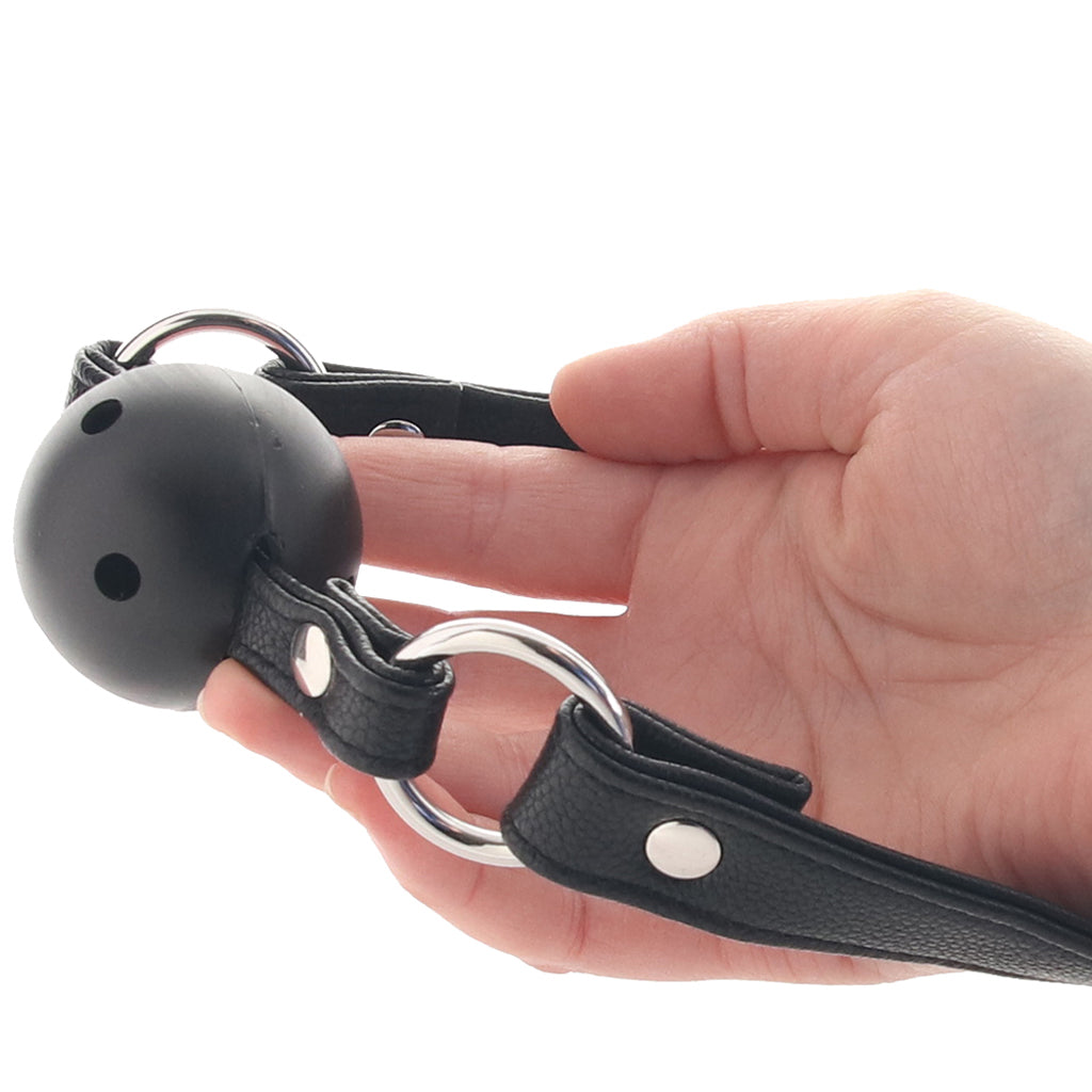Ball Gag In A Bag Bondage and Fetish > Ball Gags & Mouth Restraints