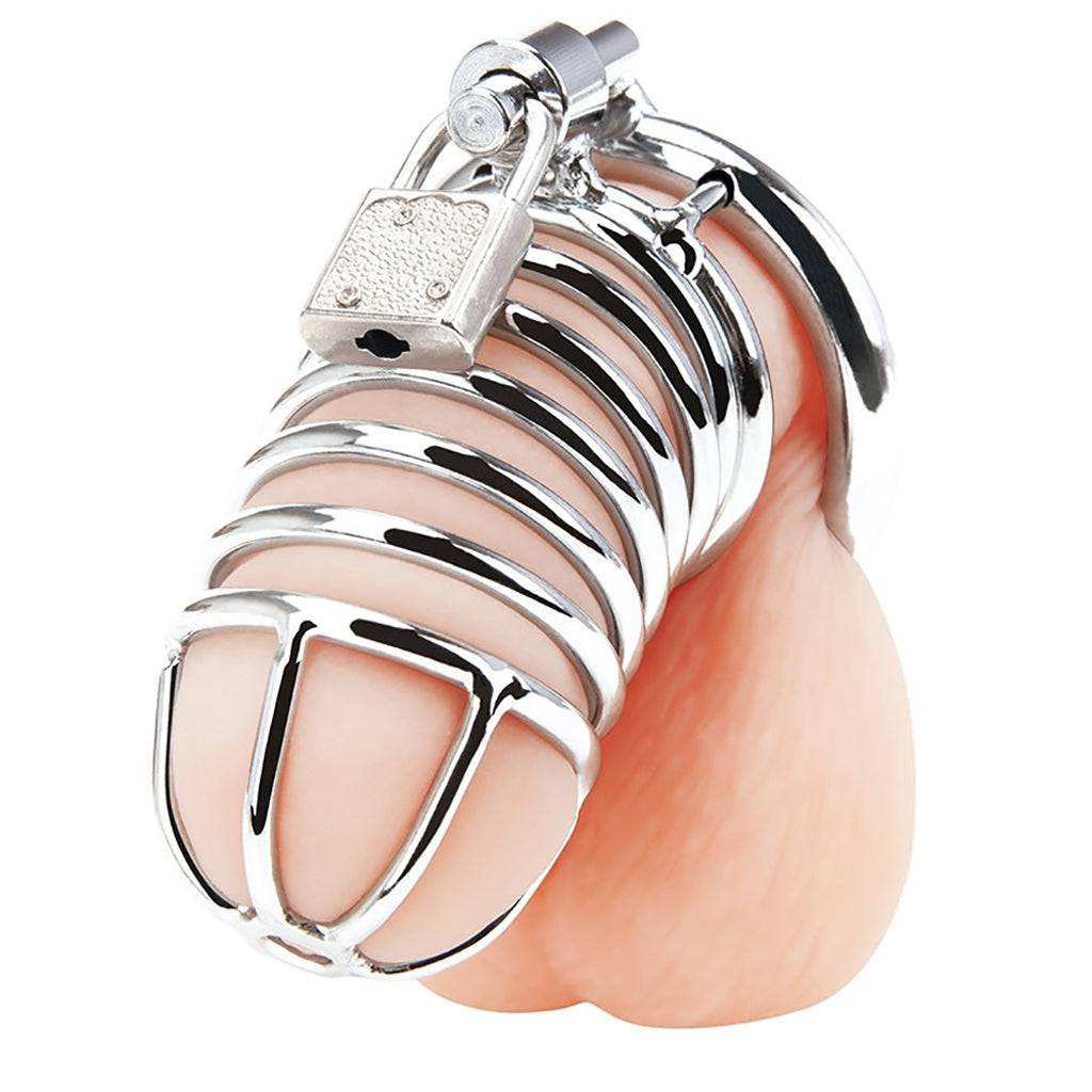 Blue Line Deluxe Steel Chastity Cage in Silver Bondage and Fetish > Cock and Ball Devices