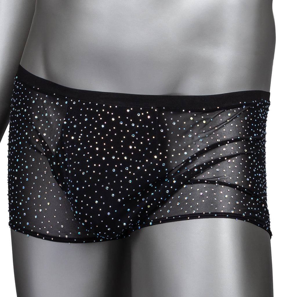Radiance Boxer Briefs Lingerie > Lingerie