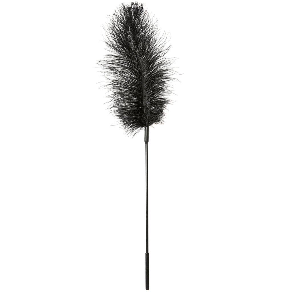 Ostrich Feather Body Tickler in Black Bondage and Fetish > Tools & Accessories