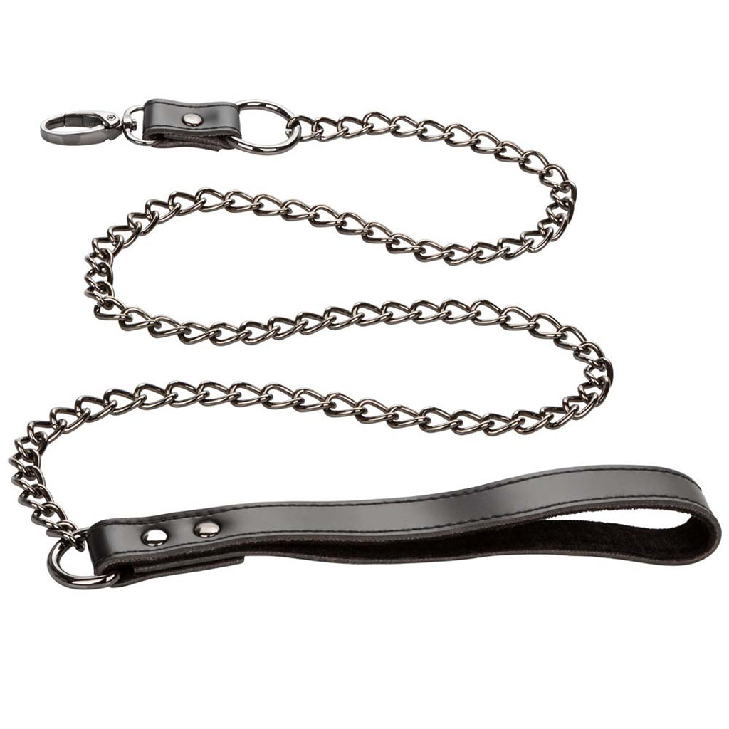 Euphoria Collar With Chain Leash Bondage and Fetish > Leashes and Collars