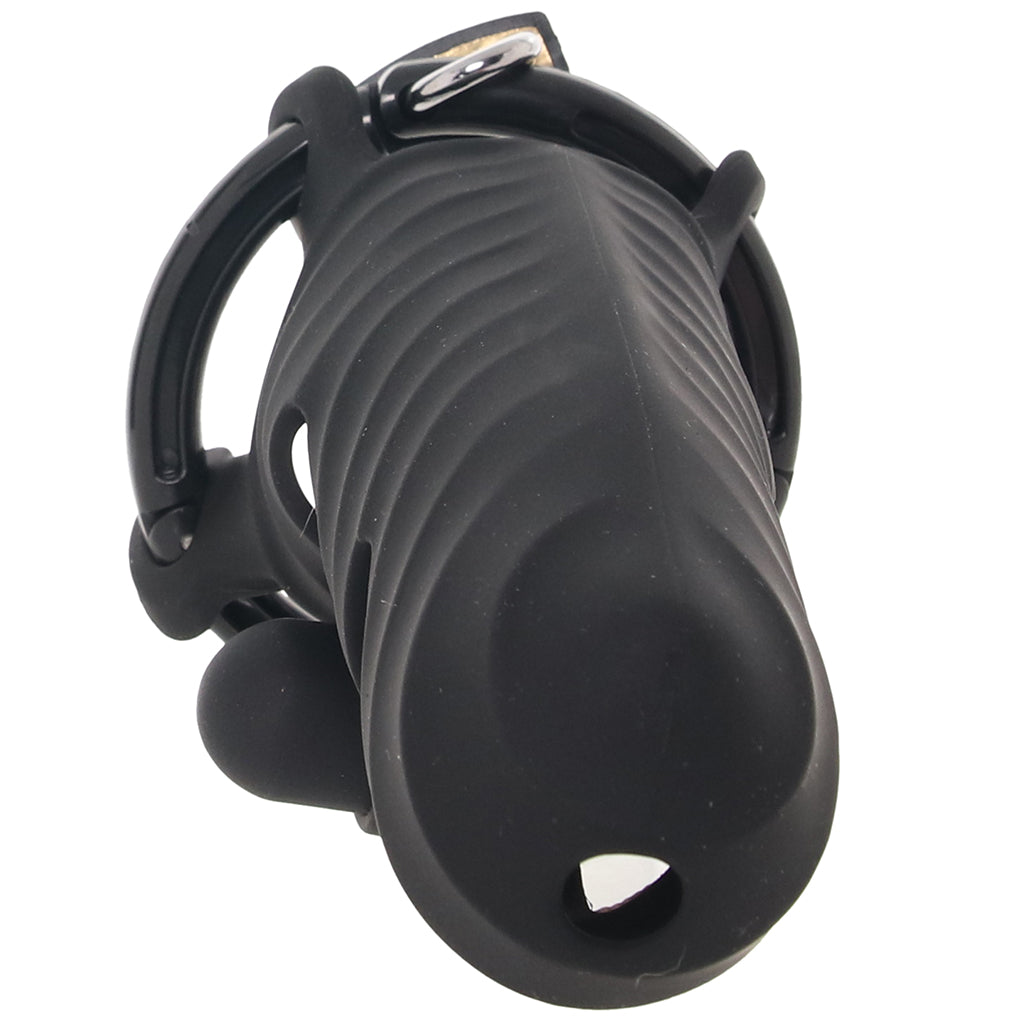 Fantasy C-Ringz Cock Blocker with Ass-Gasm Plug Bondage and Fetish > Cock and Ball Devices