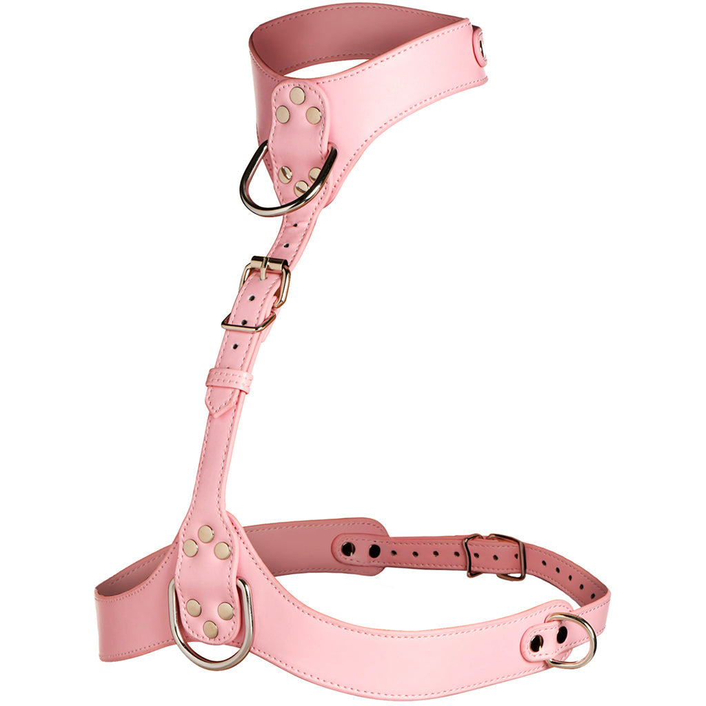 Master Series Vixen Chest Harness in Pink Bondage and Fetish > Tools & Accessories