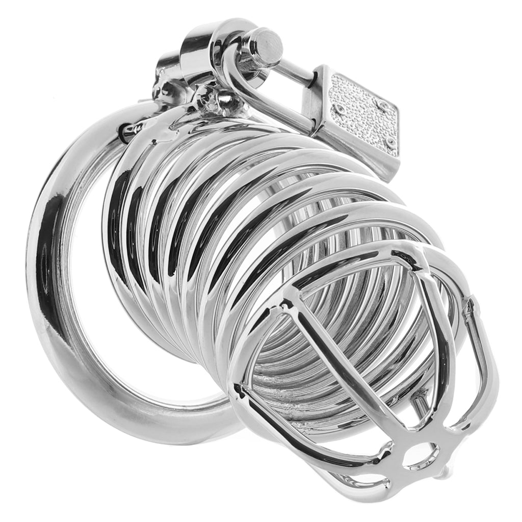 Blue Line Deluxe Steel Chastity Cage in Silver Bondage and Fetish > Cock and Ball Devices