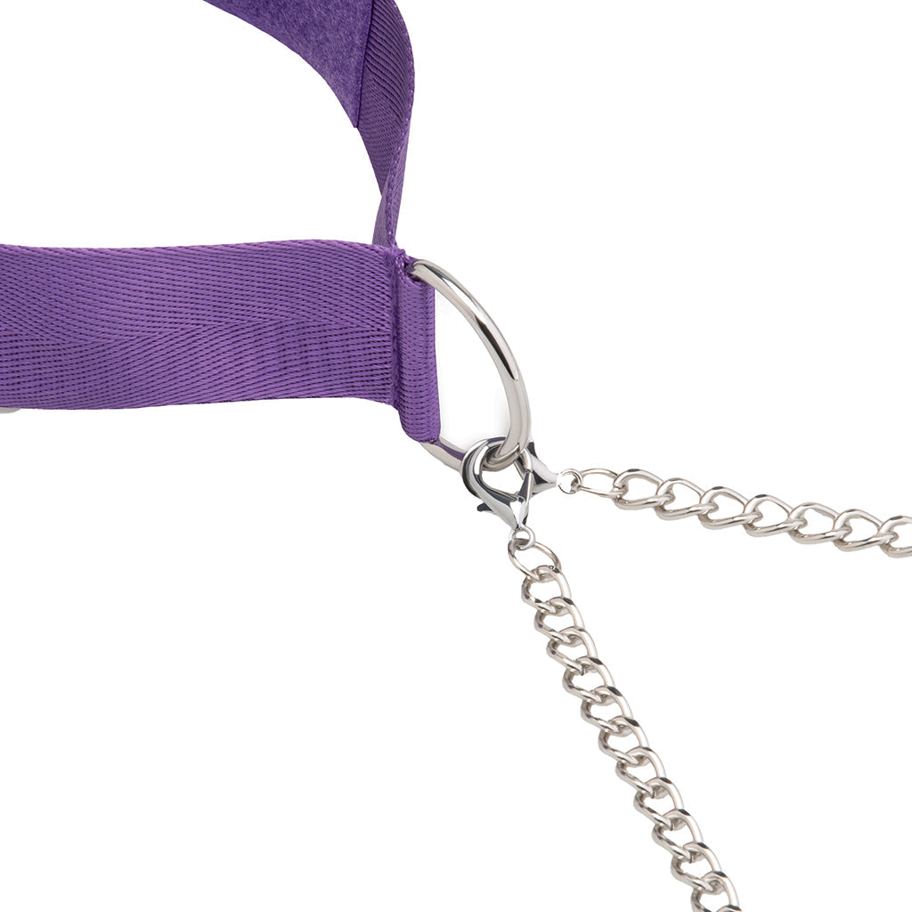 Collar & Nipple Clamp Set in Purple Bondage and Fetish > Nipple Stimulators & Clamps