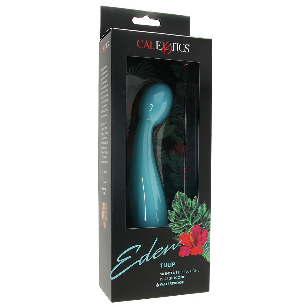 Eden Silicone Tulip Vibe in Teal Vibrators > G-Spot Vibrators