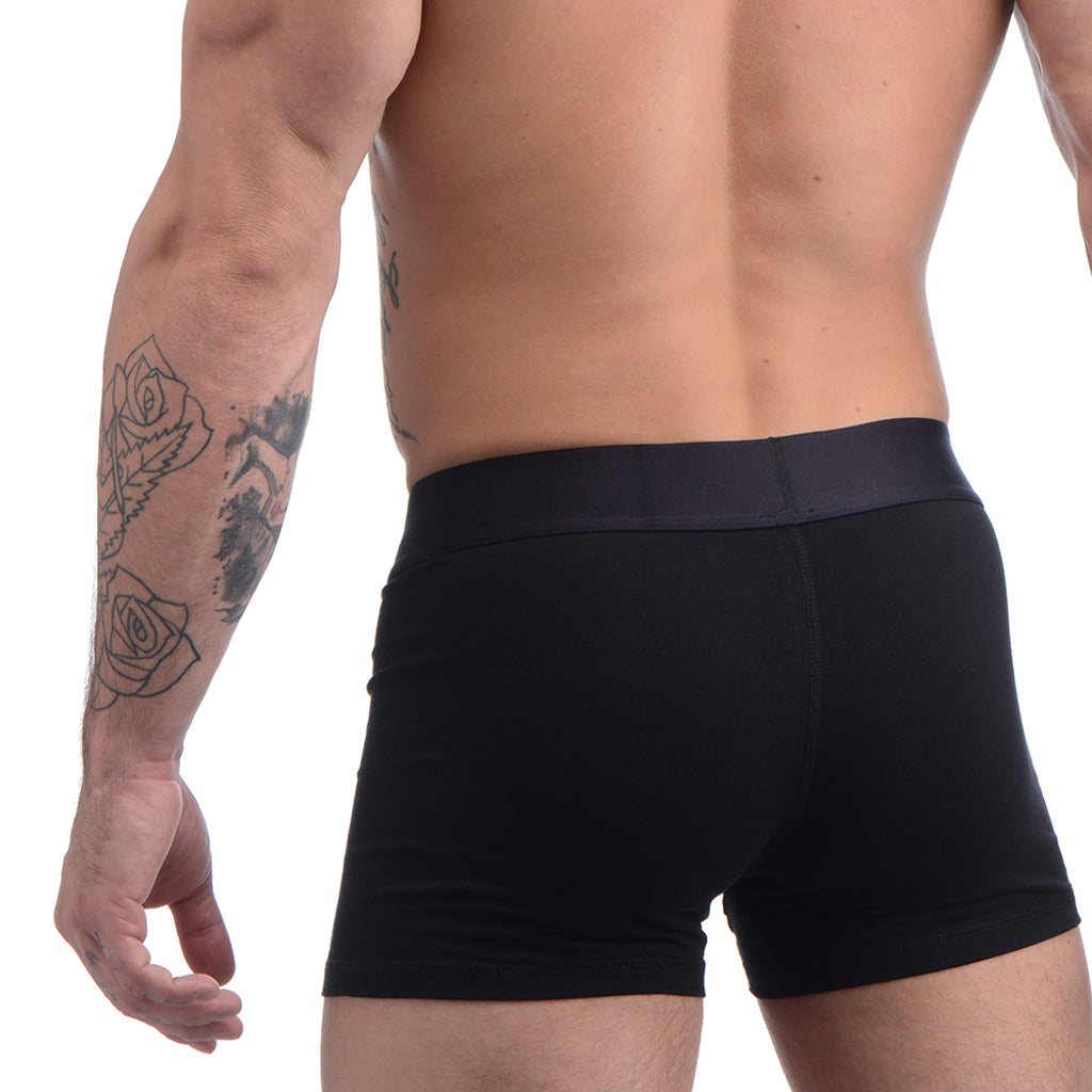 Strap U Armor Men's Boxer Harness /XL Dildo Sex Toys > Strap-On and Harnesses