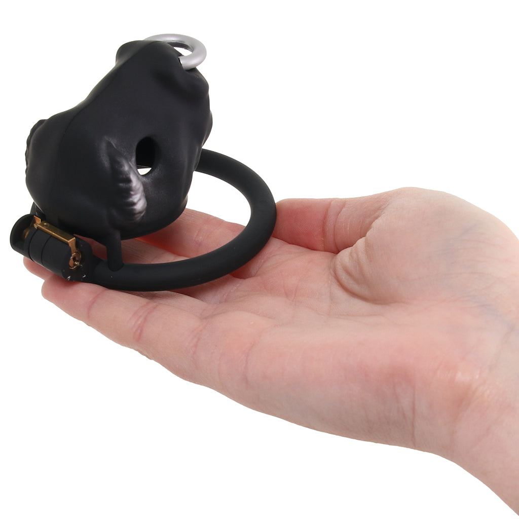Master Series Bull Chastity Cage Bondage and Fetish > Cock and Ball Devices