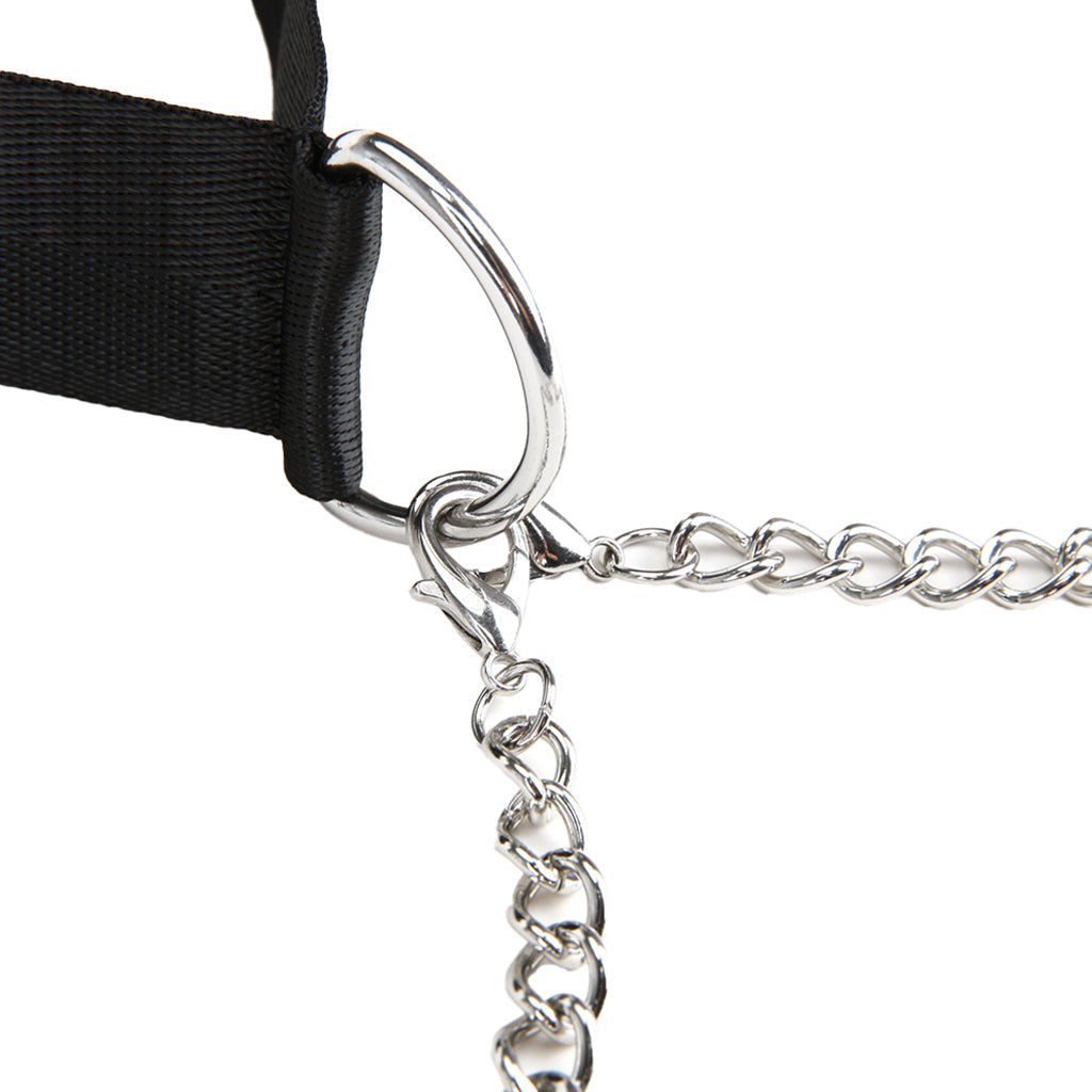Collar and Nipple Clamps Bondage and Fetish > Nipple Stimulators & Clamps