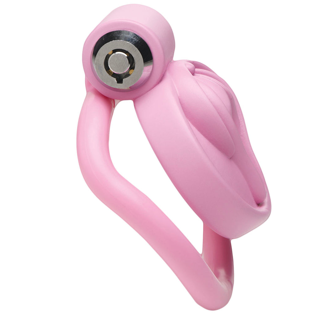 Master Series Pussification Vulva Chastity Cage Bondage and Fetish > Cock and Ball Devices
