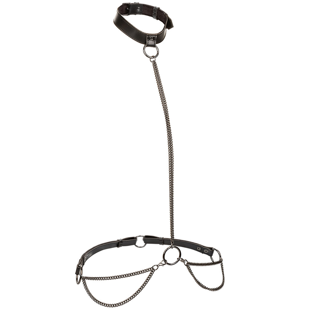 Euphoria Chain Collar & Leash XL Bondage and Fetish > Leashes and Collars