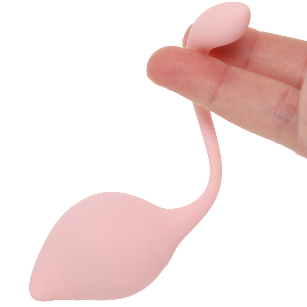 Loveline Pelvifit Stem Kegel Kit Kegel, Ben Wa and Pelvic Health Tools