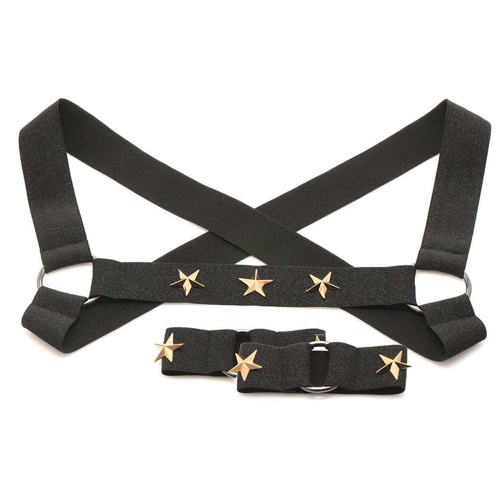 Master Series Rave Harness Elastic Chest Harness /XL Bondage and Fetish > Men's Bondage Wear