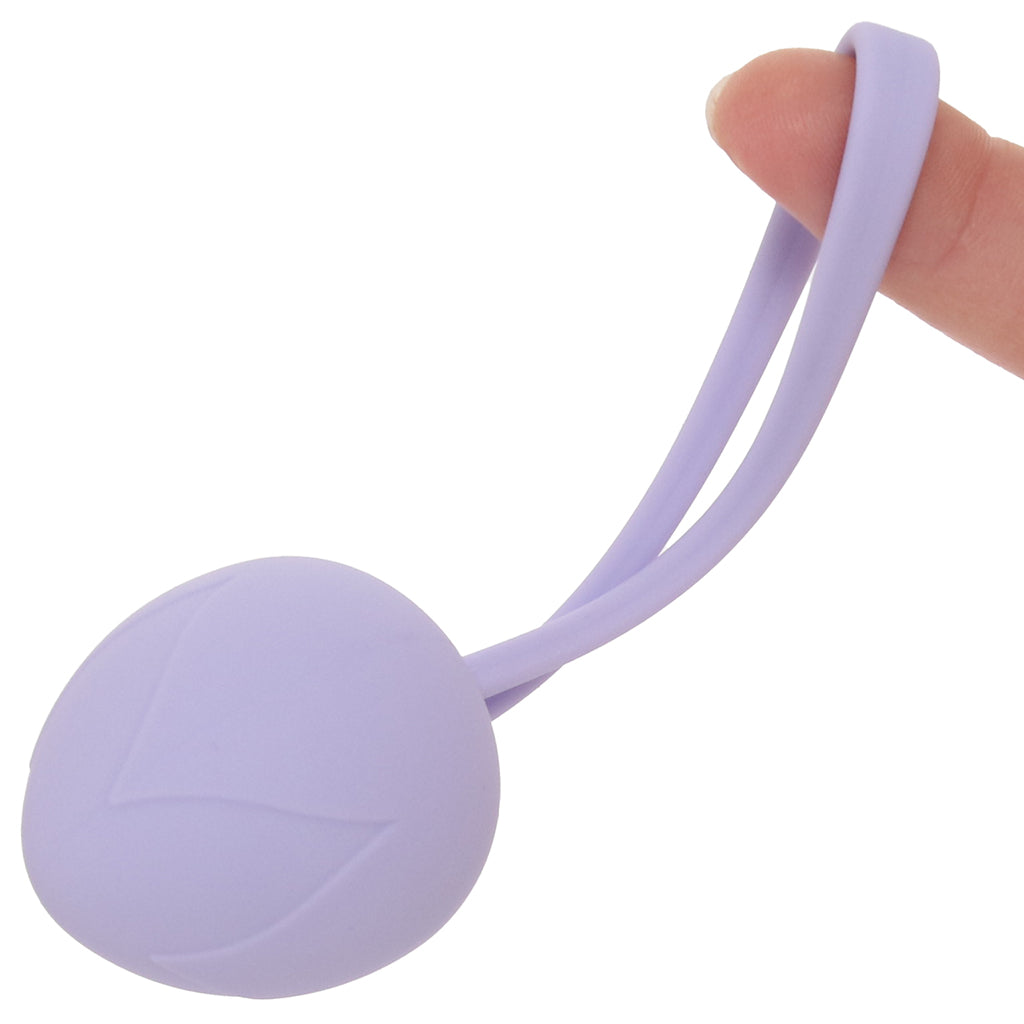 Loveline Pelvifit Berry Kegel Kit Kegel, Ben Wa and Pelvic Health Tools