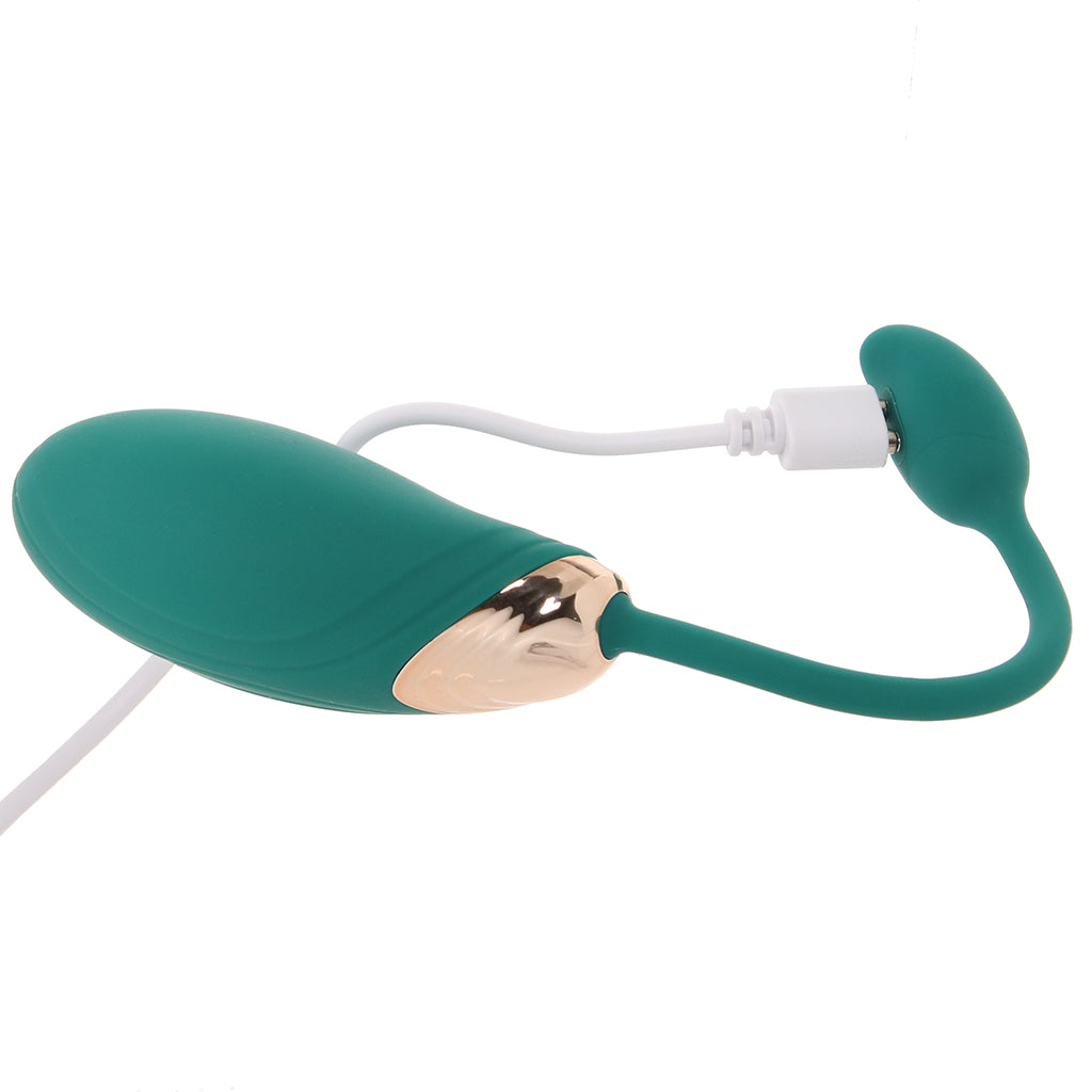 Blaze Dual Massager Kit Vibrators > Bullet and Egg Vibrators
