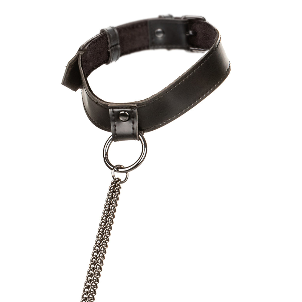 Euphoria Chain Collar & Leash XL Bondage and Fetish > Leashes and Collars