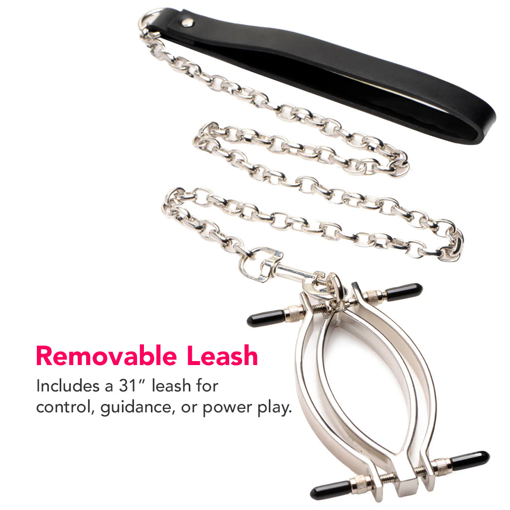 Master Series Pussy Tugger Pussy Clamp and Leash Bondage and Fetish > Restraints