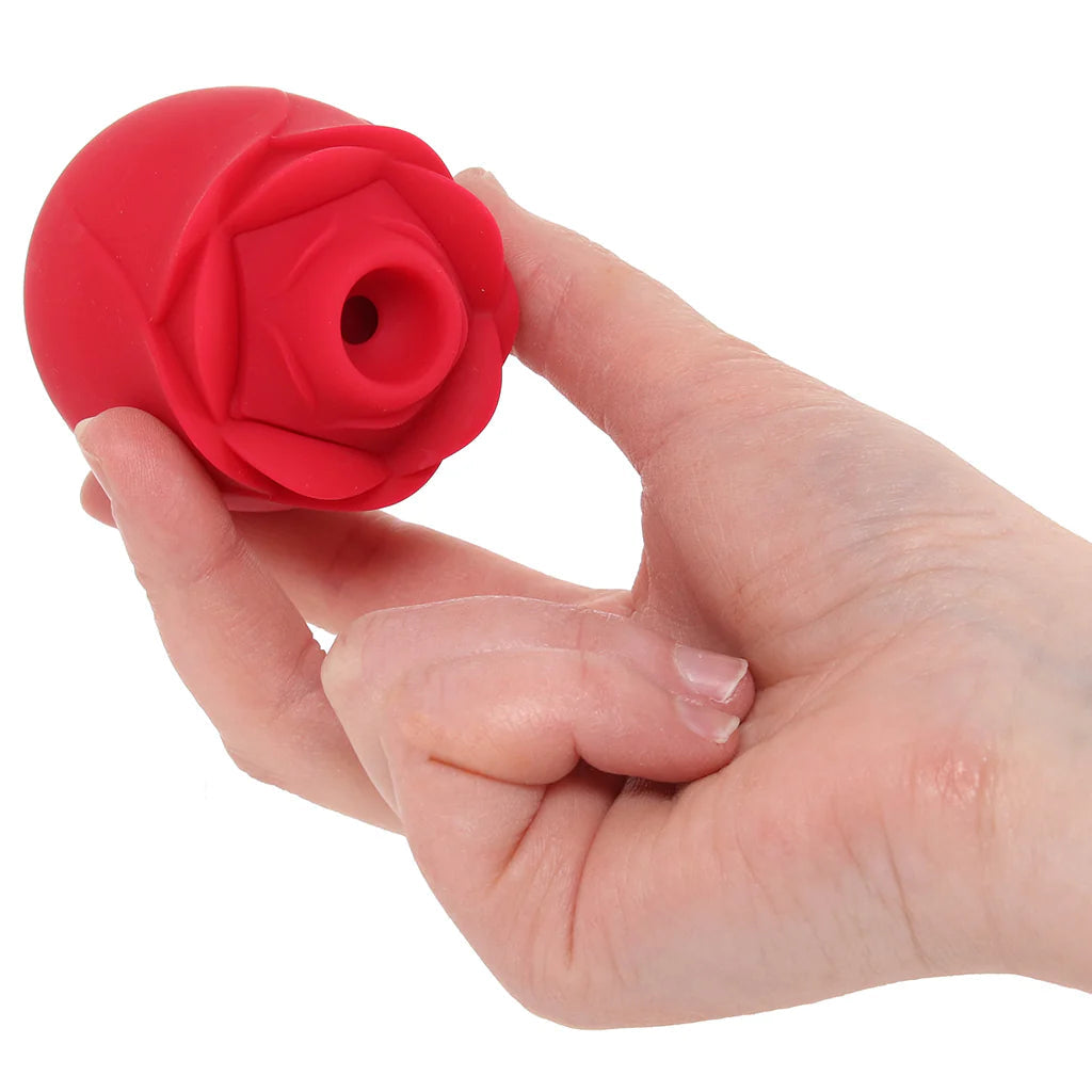 PinkCherry Rose Vibrator 2.0 Vibrators > Clitoral Stimulators
