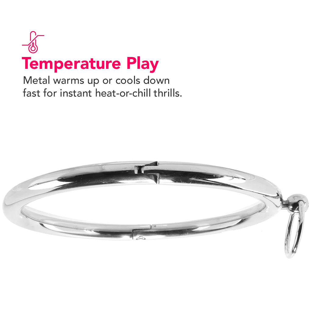 Stainless Steel Collar Bondage and Fetish > Leashes and Collars