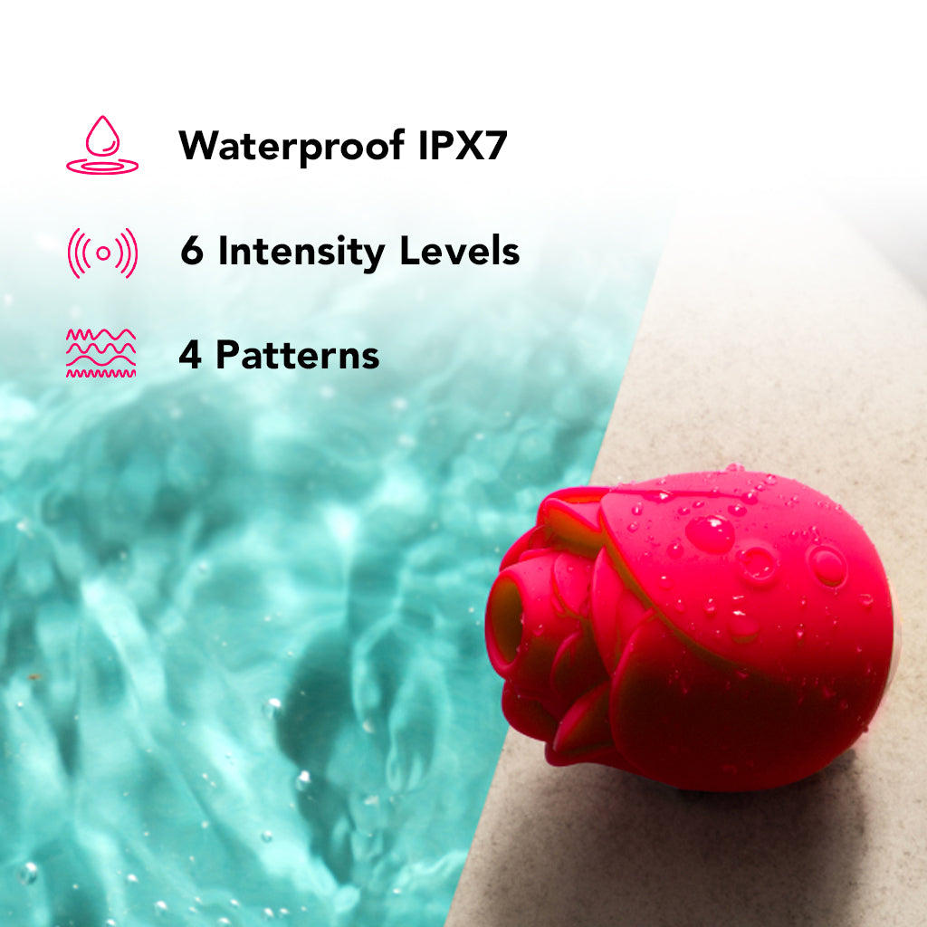 PinkCherry Rose Vibrator 2.0 Vibrators > Clitoral Stimulators
