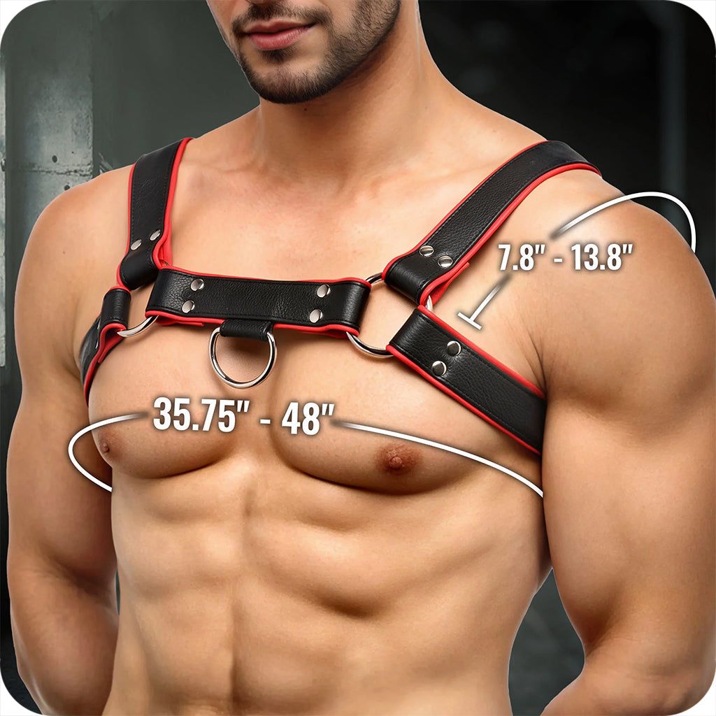 Strict Leather English Bulldog Harness Bondage and Fetish > Men's Bondage Wear