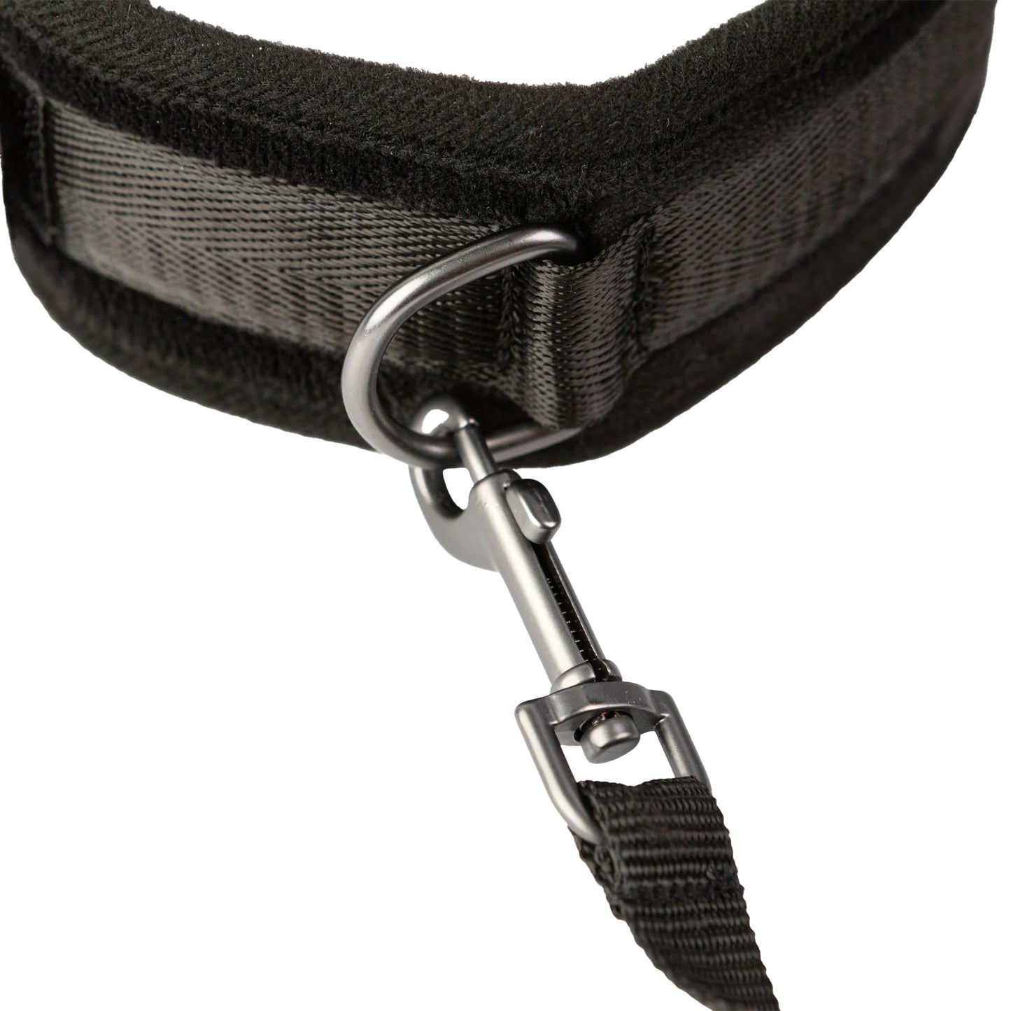 Sei Mio Take The Lead Neck Collar & Leash Bondage and Fetish > Leashes and Collars
