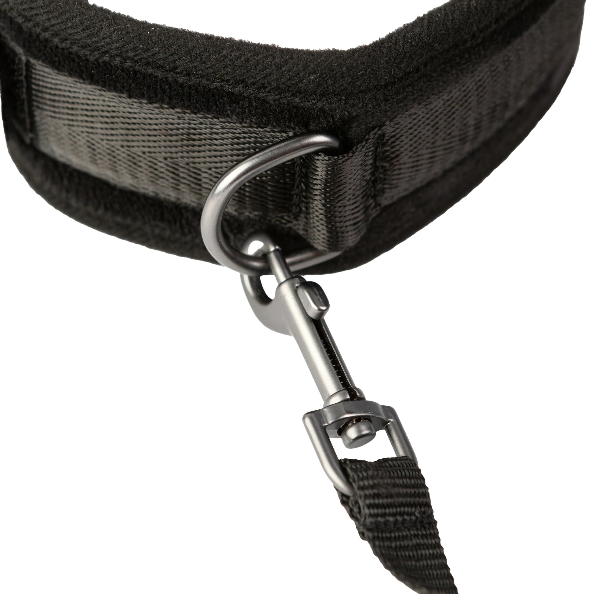 Sei Mio Take The Lead Neck Collar & Leash Bondage and Fetish > Leashes and Collars