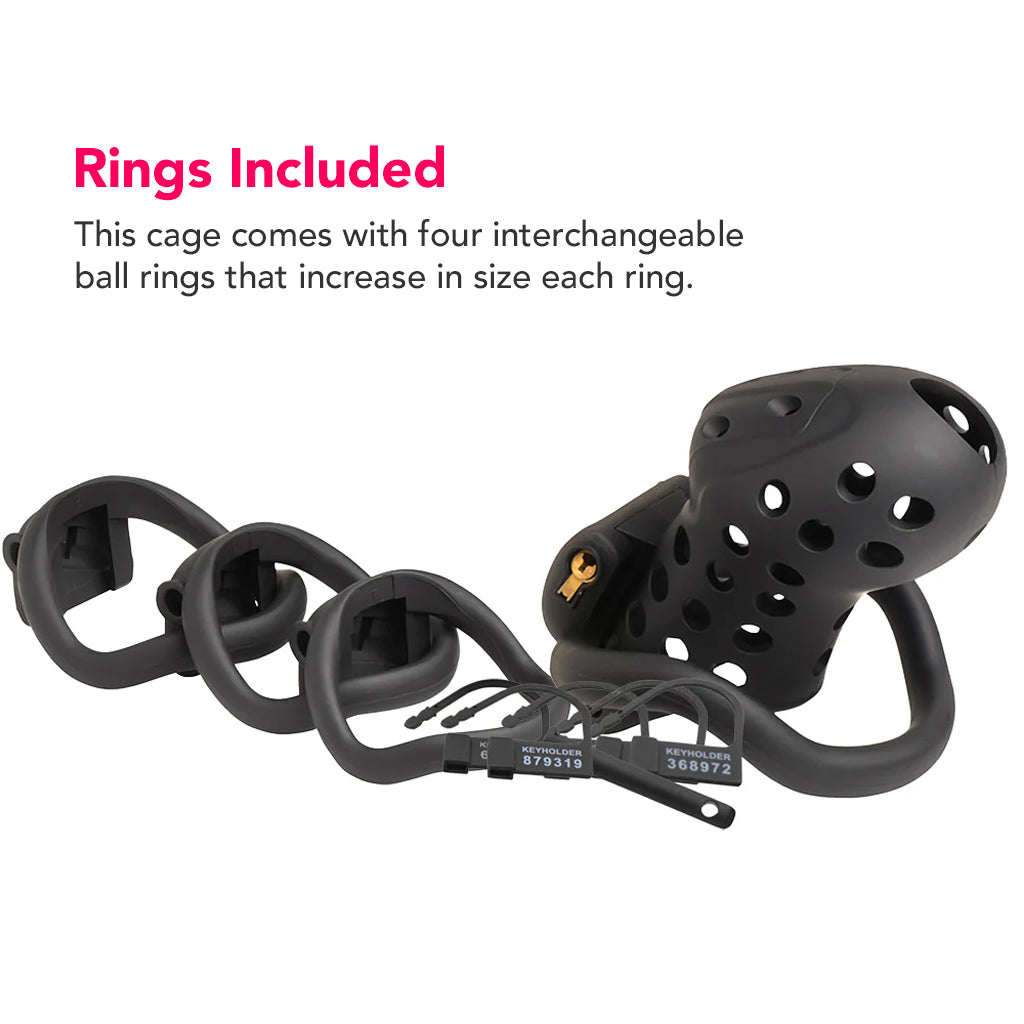 Master Series Lockdown Chastity Cage Bondage and Fetish > Cock and Ball Devices