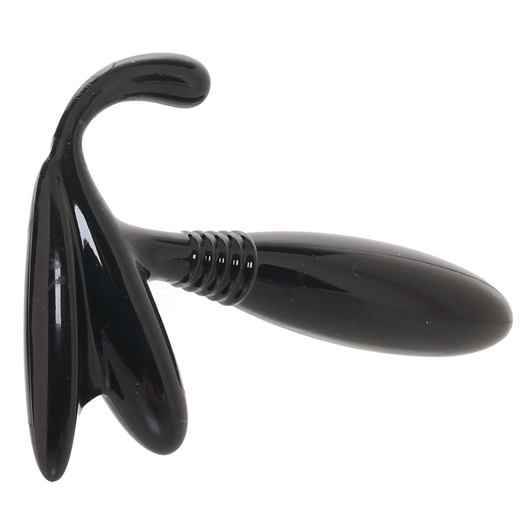 Apollo Universal Prostate Probe in Black Clearance
