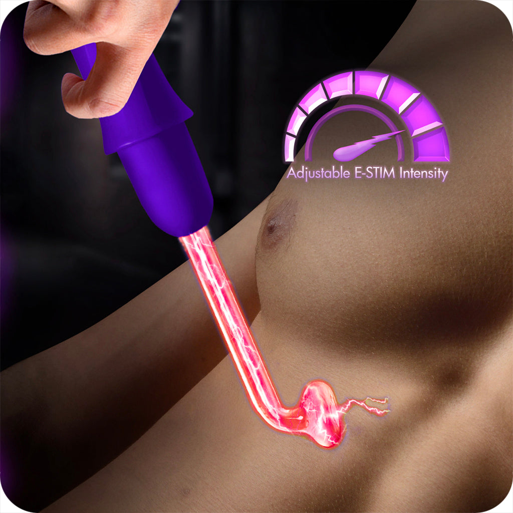 Master Series Electrawand E-Stim Set in Purple Bondage and Fetish > Electro Stim