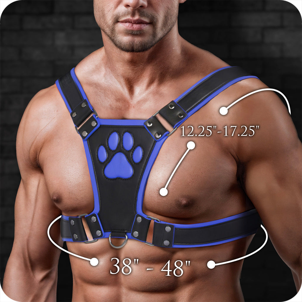 Master Series Alpha Pup Bulldog Harness in Blue Bondage and Fetish > Men's Bondage Wear