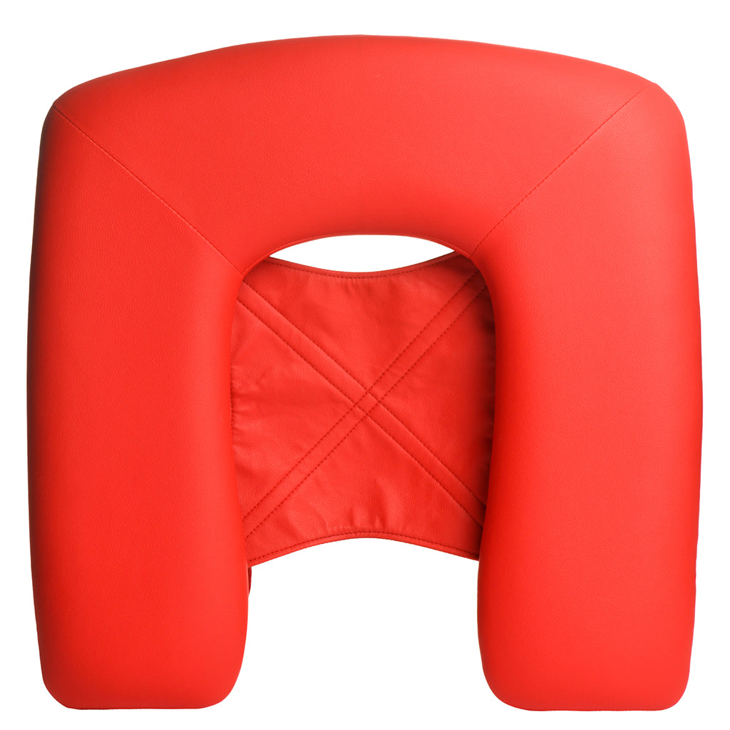 Master Series Face Rider Queening Chair Bondage and Fetish > Tools & Accessories