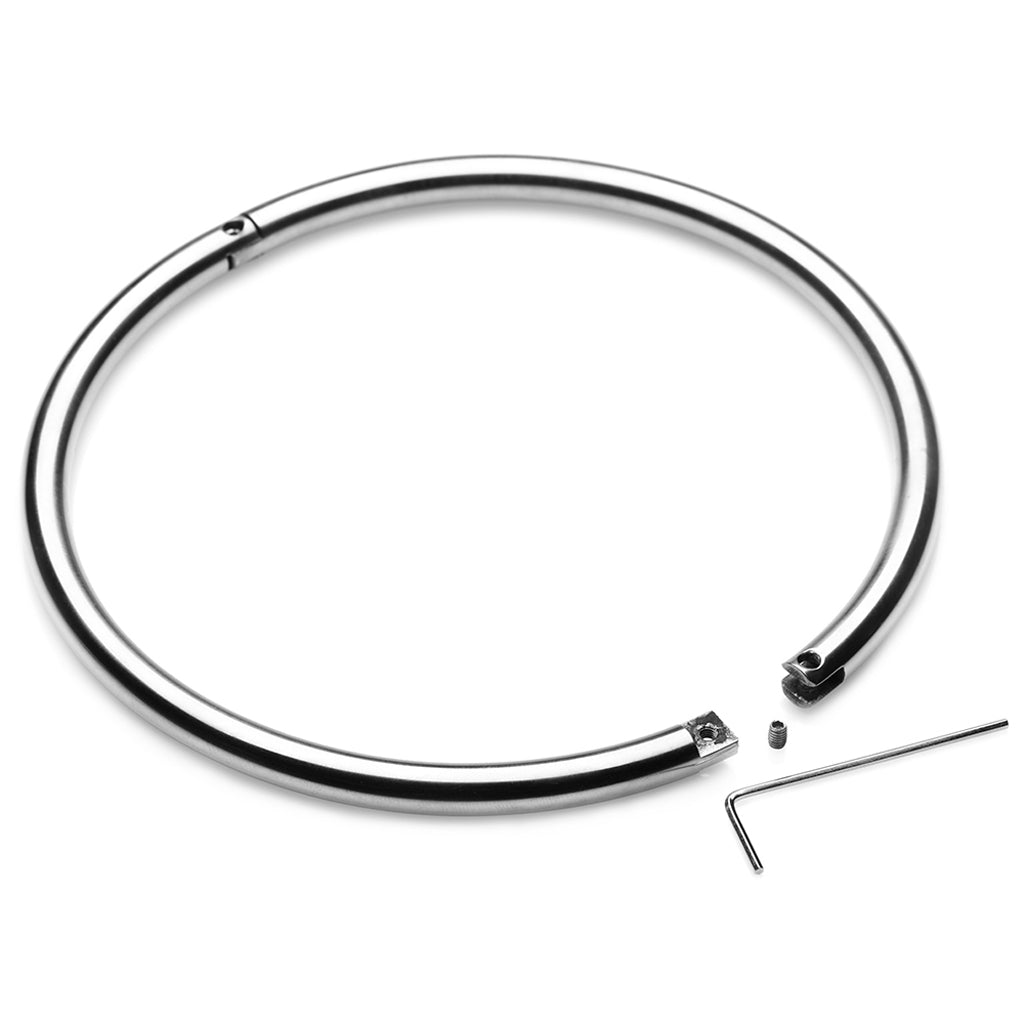 Master Series Possession Steel Lock Collar Bondage and Fetish > Leashes and Collars