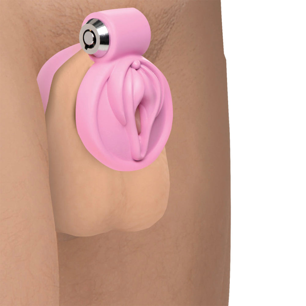 Master Series Pussification Vulva Chastity Cage Bondage and Fetish > Cock and Ball Devices