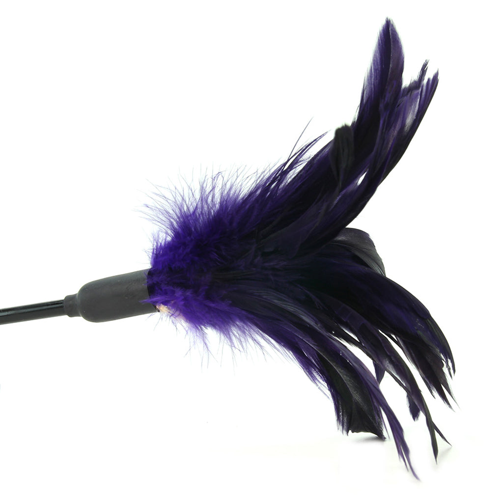 Starburst Feather Body Tickler in Violet Bondage and Fetish > Tools & Accessories