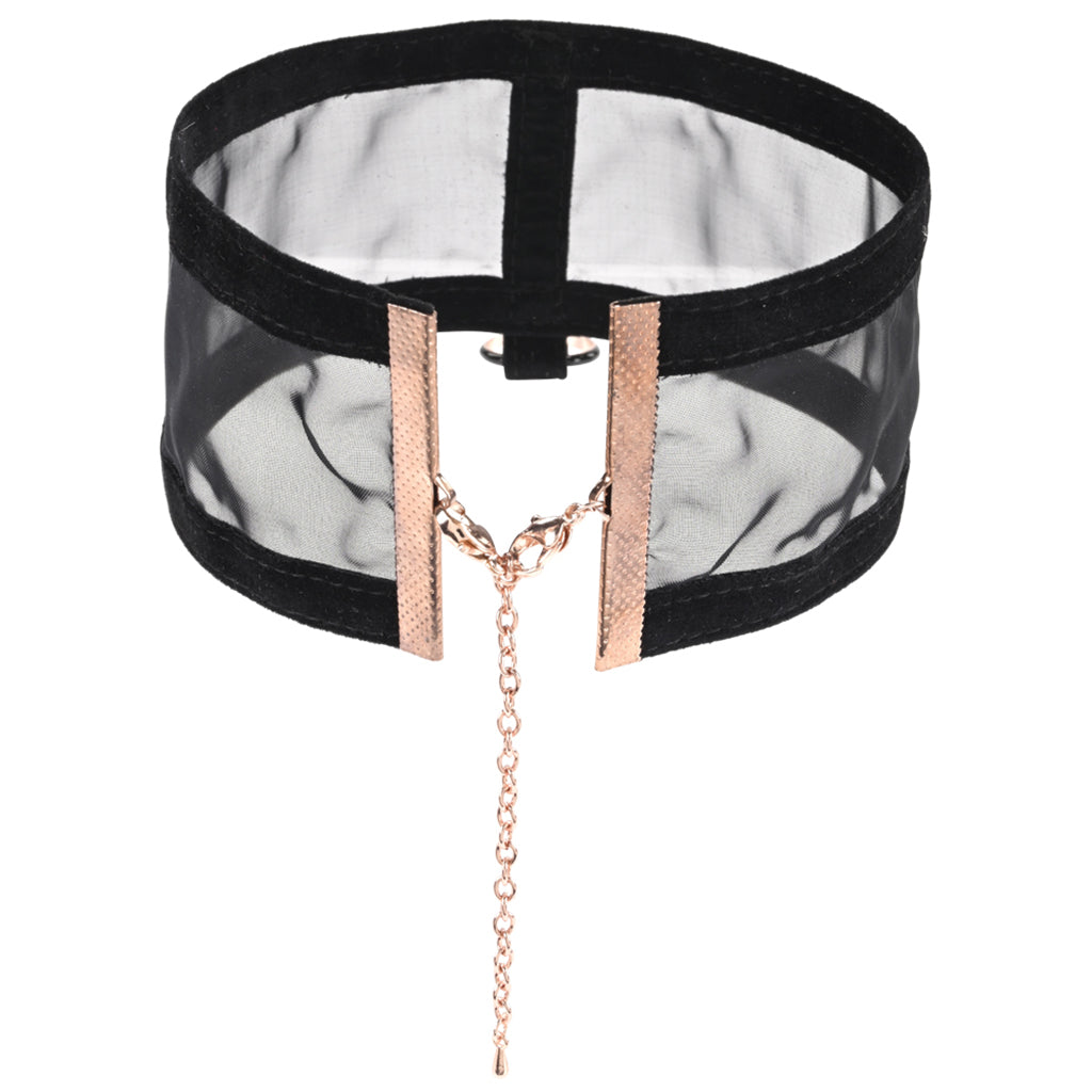 Sex & Mischief Sheer Day Collar Bondage and Fetish > Tools & Accessories