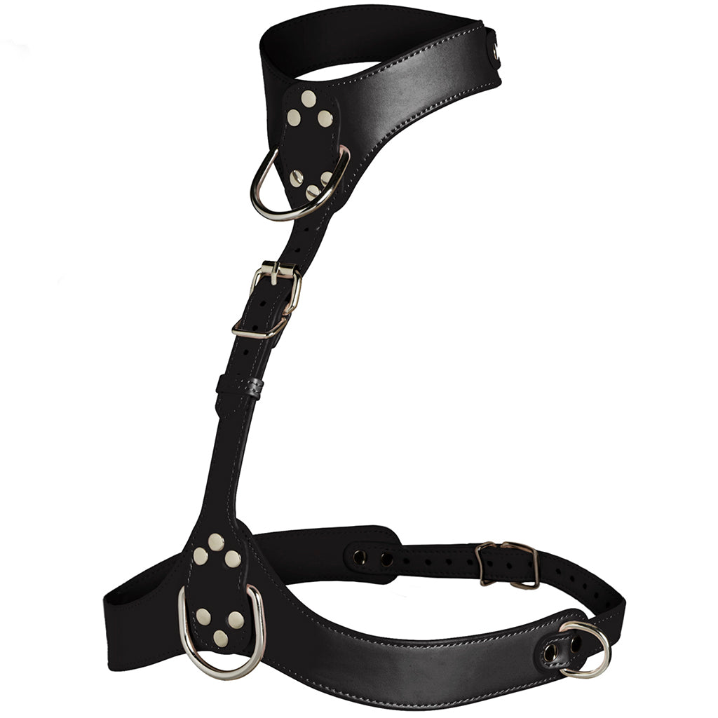Master Series Vixen Chest Harness in Black Bondage and Fetish > Tools & Accessories