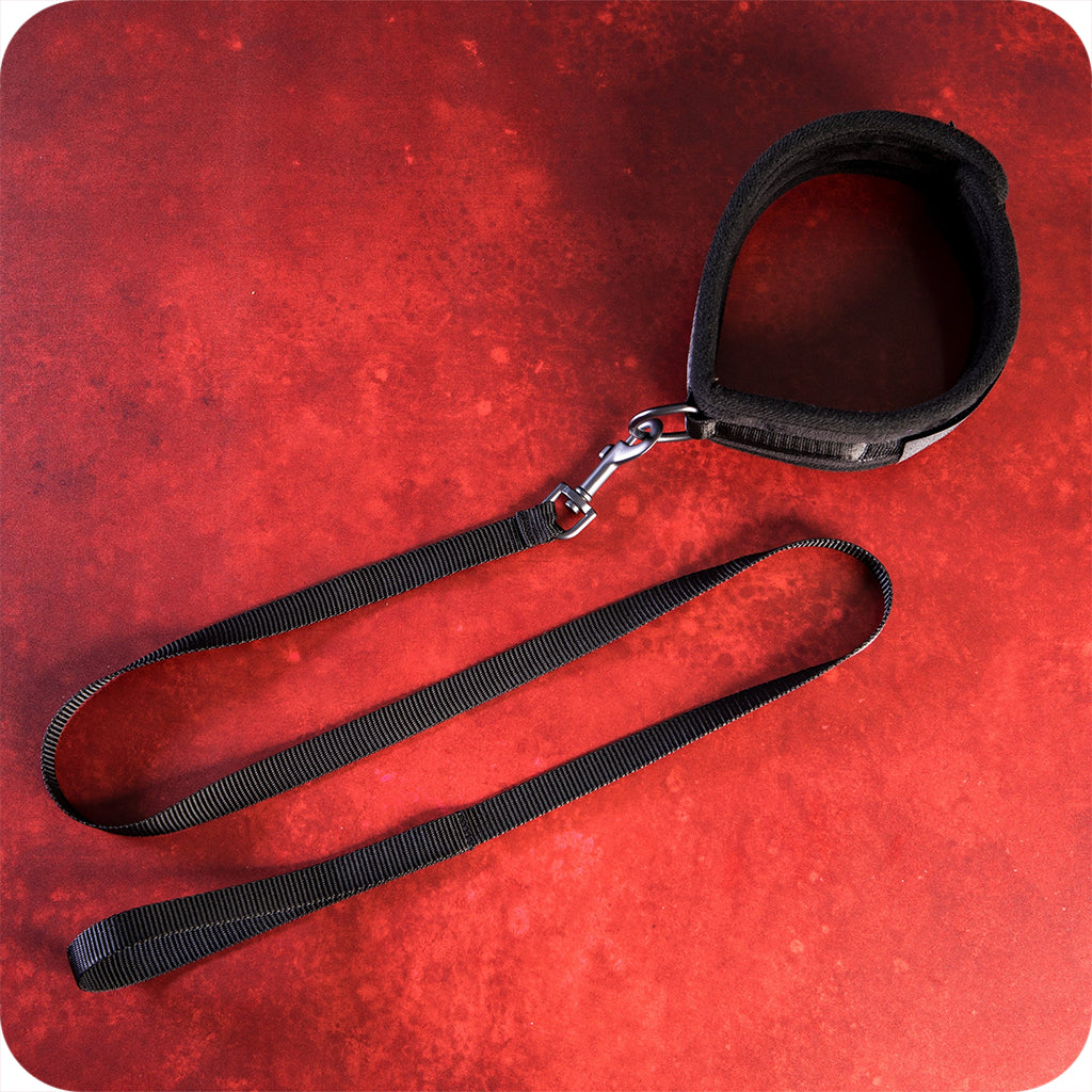 Sei Mio Take The Lead Neck Collar & Leash Bondage and Fetish > Leashes and Collars