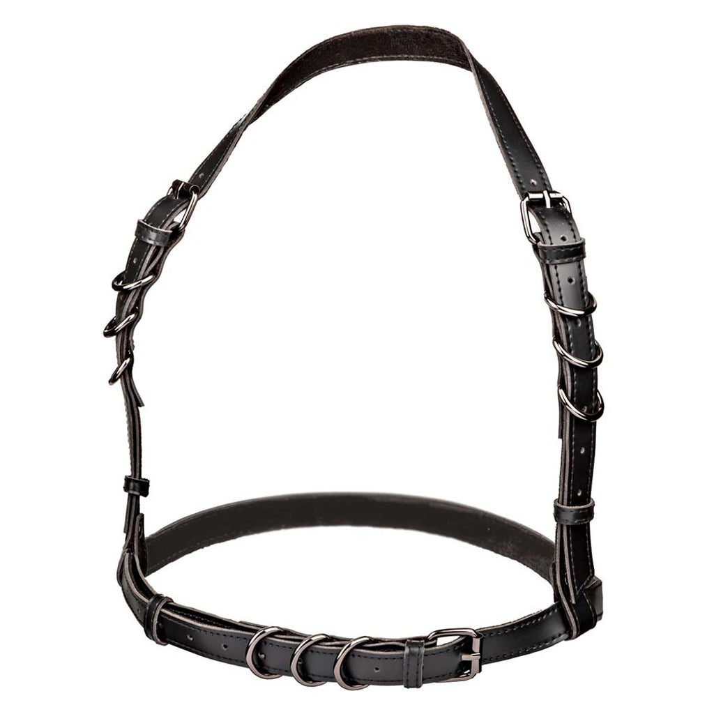 Euphoria Halter Buckle Harness XL Bondage and Fetish > Pleasure Masks and Dress Up Play