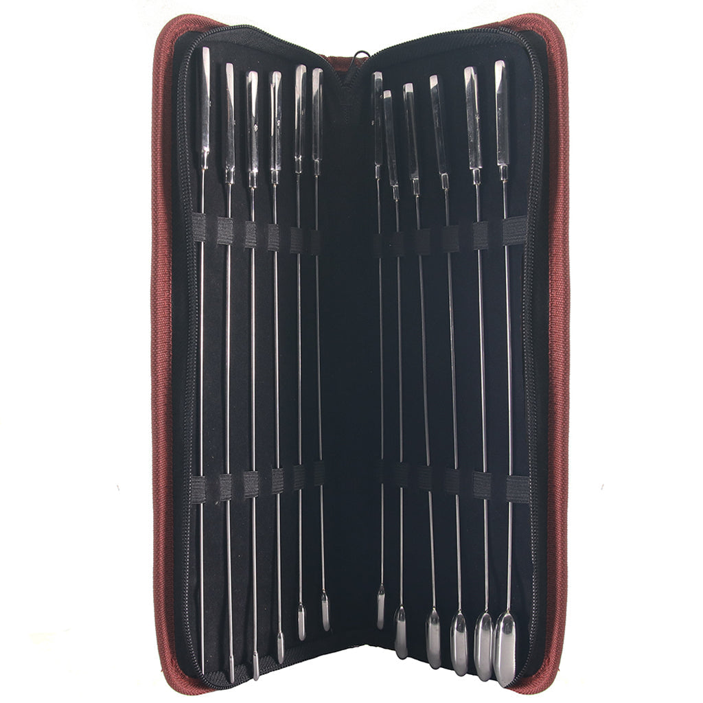 Stainless Steel 12 Pc. Rose Bud Sounding Set Bondage and Fetish > Cock and Ball Devices